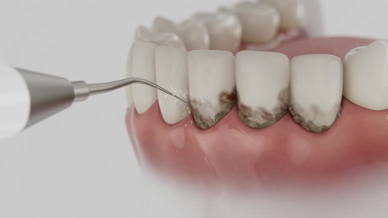 Reliable Dental contractor in Surrey, ND by Dentist Open Now